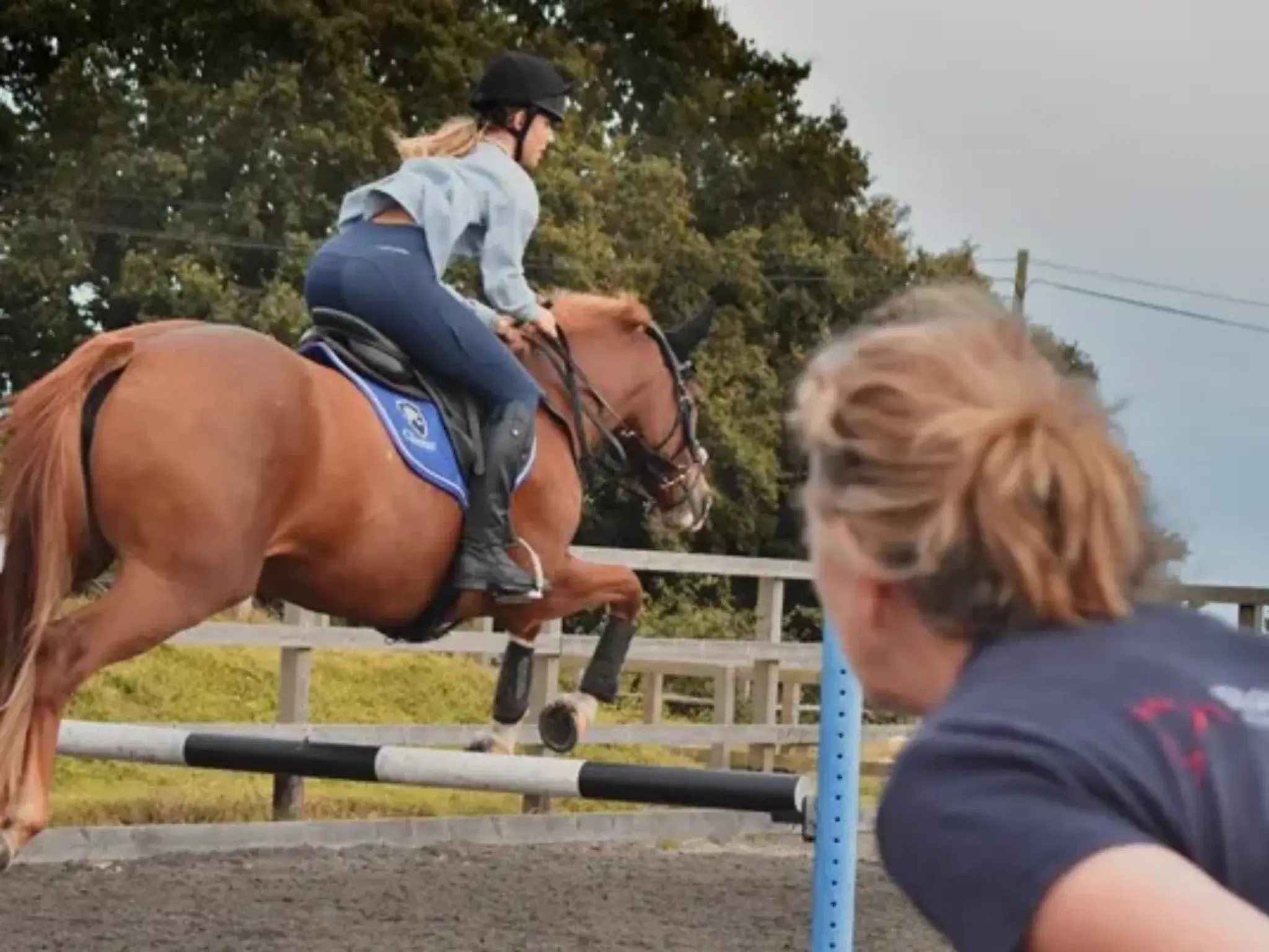 Claremont School - Equine